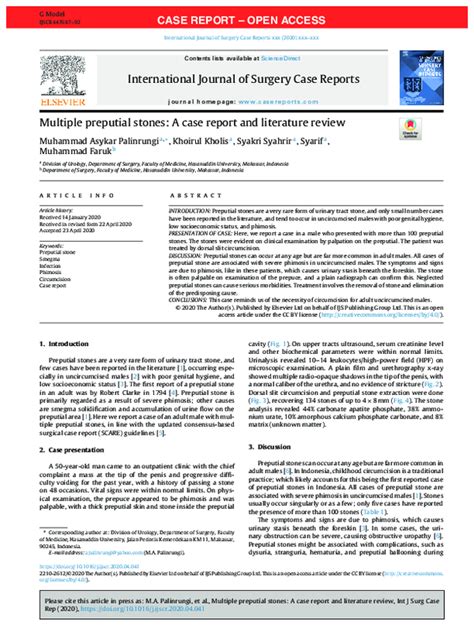 Multiple preputial stones: A case report and literature review